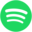 open.spotify.com icon